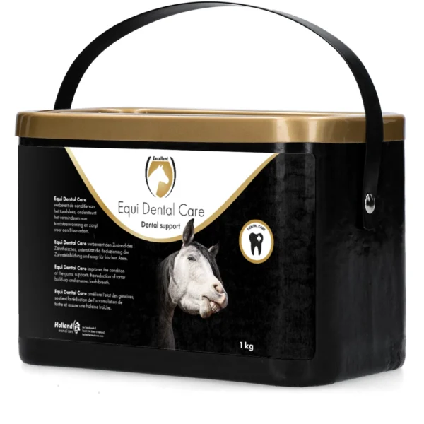 Excellent Horse Dental Care