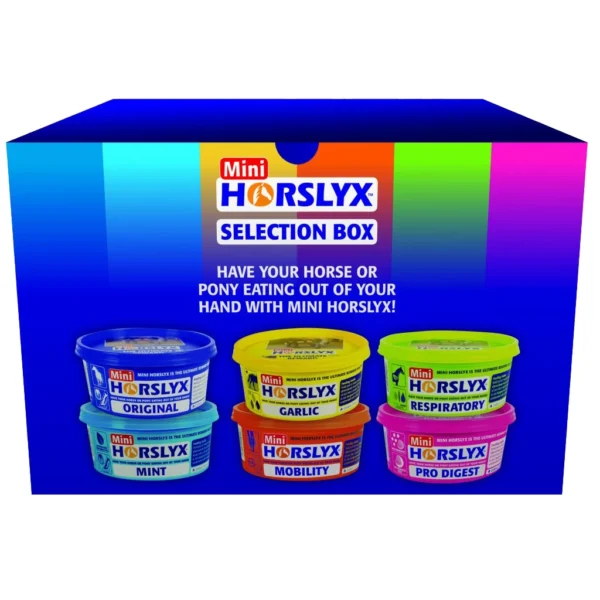 Horslyx Mini Selection Box