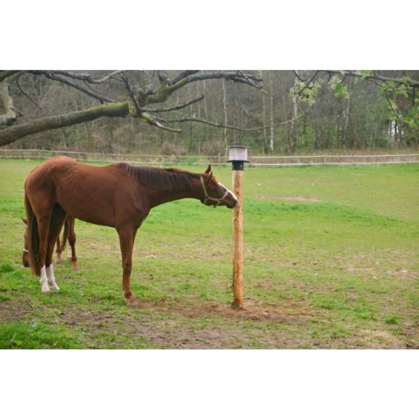 vPlast Liksteenhouder Paal