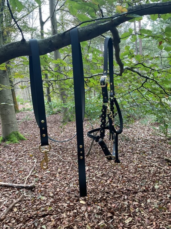 Foto van een compleet zwart paardenhalster en halstertouw, versierd met gouden details. Het halster en het touw hangen netjes over een boomtak in een bosomgeving. De achtergrond toont herfstbladeren op de grond en groen gebladerte aan de takken, wat een natuurlijke en serene sfeer creëert.