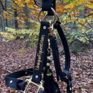 Unique Equestrian Halster van zwart BioThane met crystal details. Messing gespen en ringen.