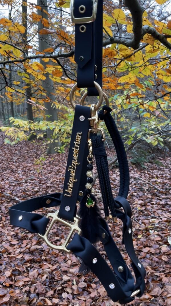 Unique Equestrian Halster van zwart BioThane met crystal details. Messing gespen en ringen.