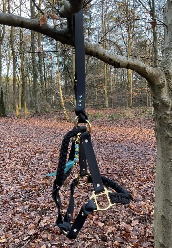 Een zwart leren halster met gouden gespen en gevlochten touwen hangt aan een boomtak in een herfstig bos. Het halster is versierd met groene edelsteentjes en een blauwe hanger met kralen en een veertje, omringd door gevallen bladeren op de grond.