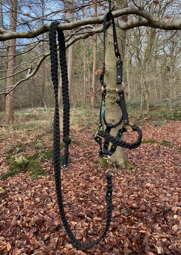 Zwart halster met goudkleurige details en bijpassend zwart gevlochten halstertouw, opgehangen aan een boomtak in een bosrijke omgeving met herfstbladeren op de grond.