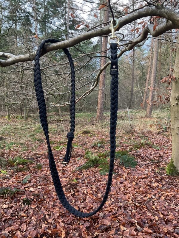 Midnight Mane Halstertouw