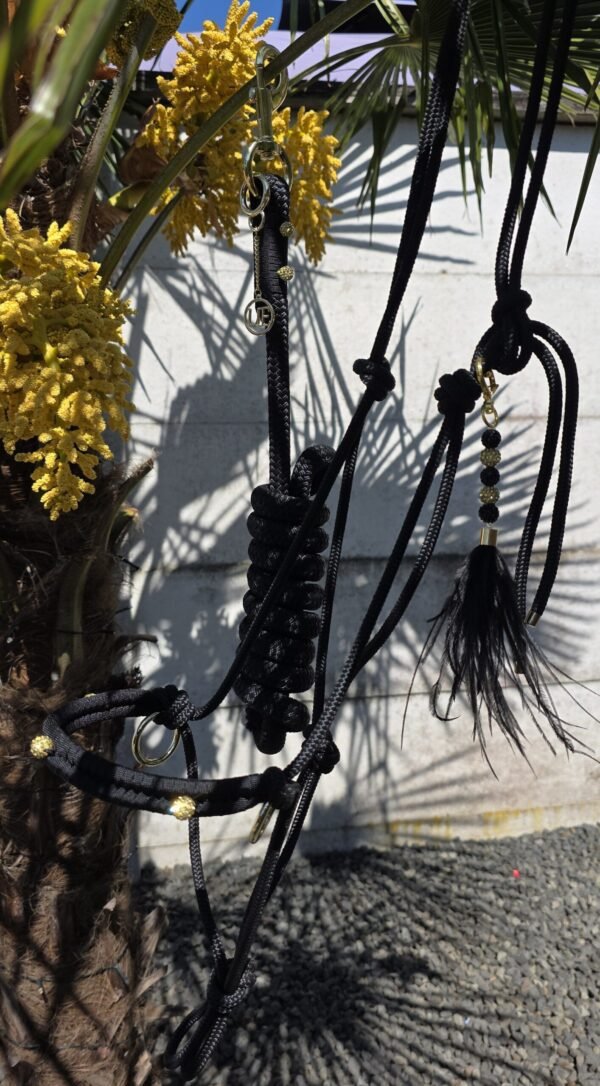 Imperial Glow Halster