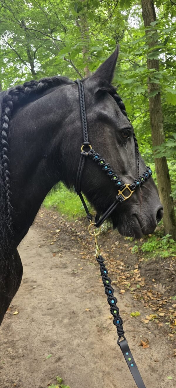 Ocean Breeze Halstertouw