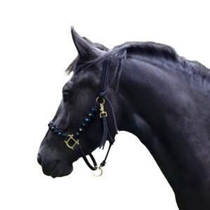 Accu Wahl KM Cordless Scheermachine Paard