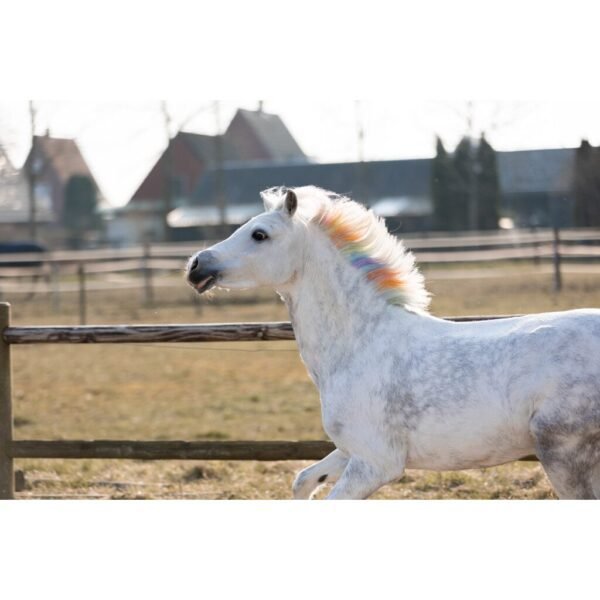 Lucky Horse Unicorn Regenboog Kleurkrijt